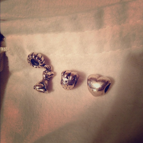 Pandora charms