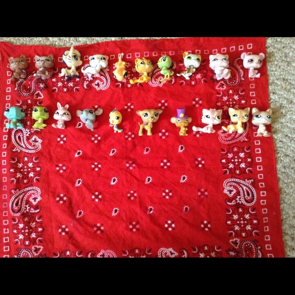 **20** My Little Pet Shop.