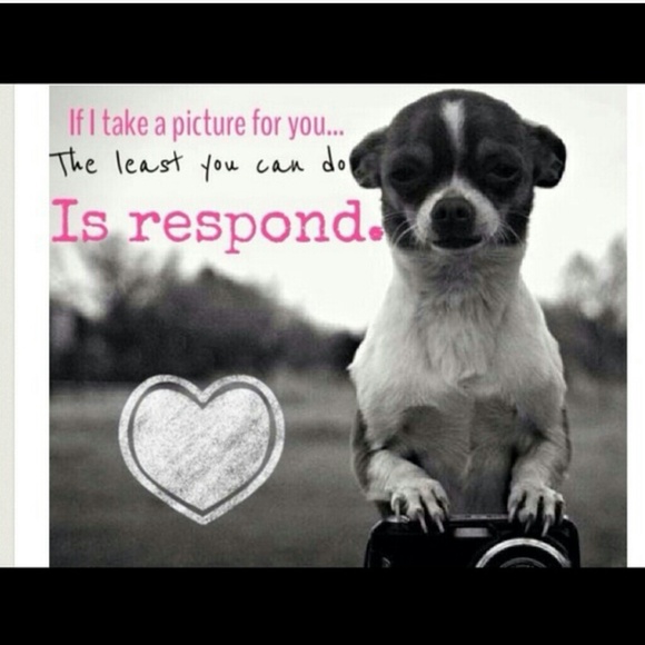 Shirts, Sweaters, Jackets, and more - Picture 3 of 3