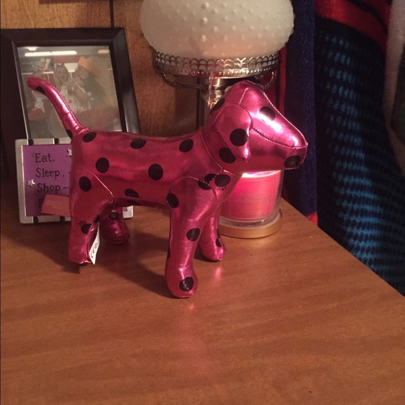 Vs pink dog