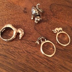 Animal rings