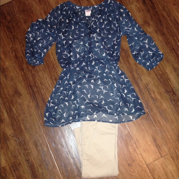 Sheer blouse with birds.