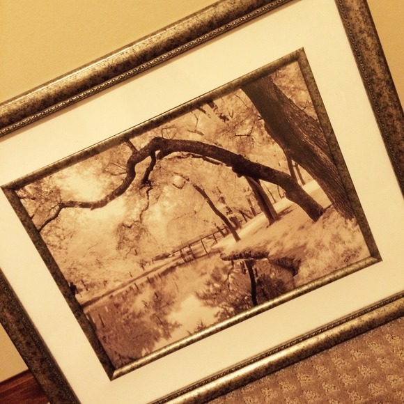 Bedroom (or anywhere) picture of nature