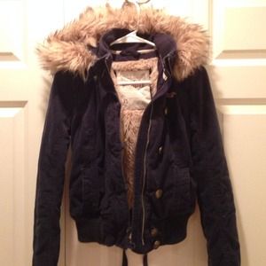 HOLLISTER jacket