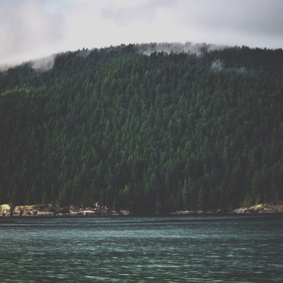 Light pink Vodis for Bonnie