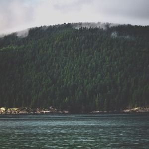 Light pink Vodis for Bonnie