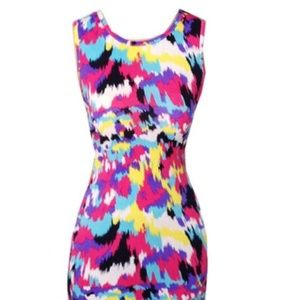 Fitted Multi-colored dress