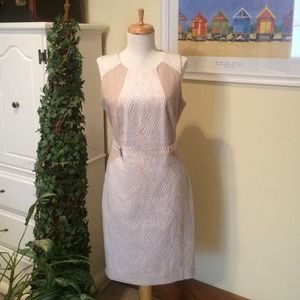 Calvin Klein dress size 6