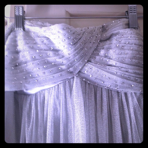 Silver BCBG dress