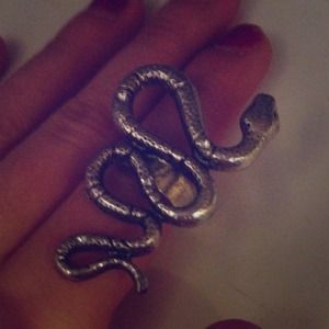 Snake ring