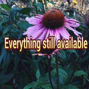 Everything still available