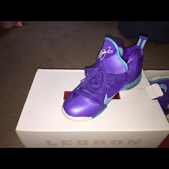 lebron 9s hornets