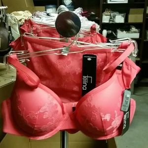Bra and Pantie Set