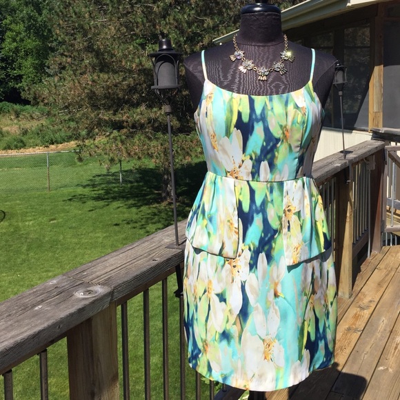 BB Dakota dress