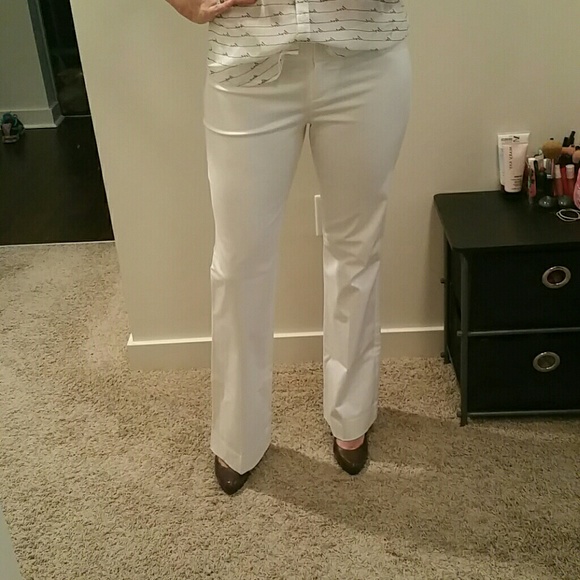 Dress pants