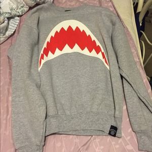 shark green hill crewneck (not UO)