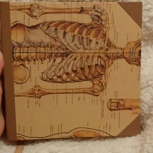 Anatomy journal