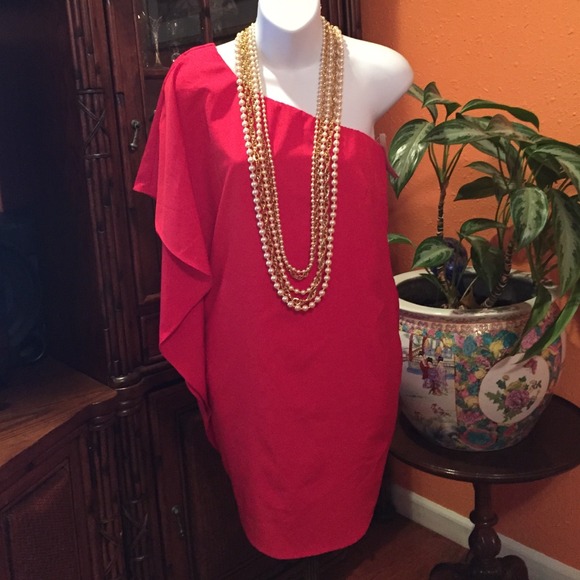Xtraordinary Dresses & Skirts - Beautiful taupe red bundle for @myikos