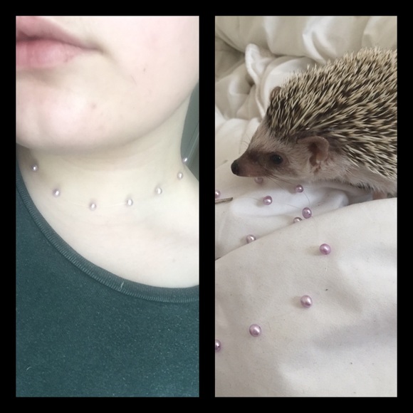 Grunge pearl choker. *my hedgehog is not included*