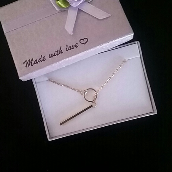 Brand New Silver Lariat necklace. Never wore. Circle bar - Picture 3 of 3