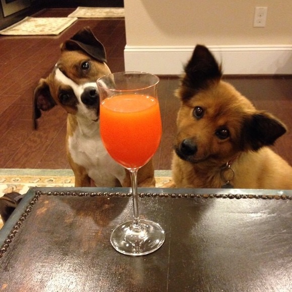 Feb. 28th Party Theme Update: Fashion Flashback!👒 - Picture 3 of 3