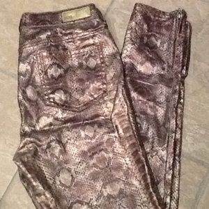 Gold Metallic Snake Print Skinny Jeans