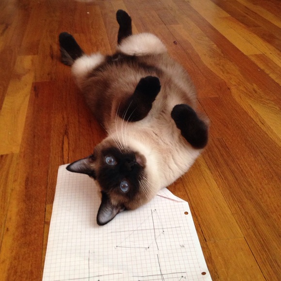 ❤️READ THIS!!!! ❤️this is my cat cake(: - Picture 3 of 4