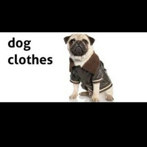 🐶 Dog Clothing 🐶