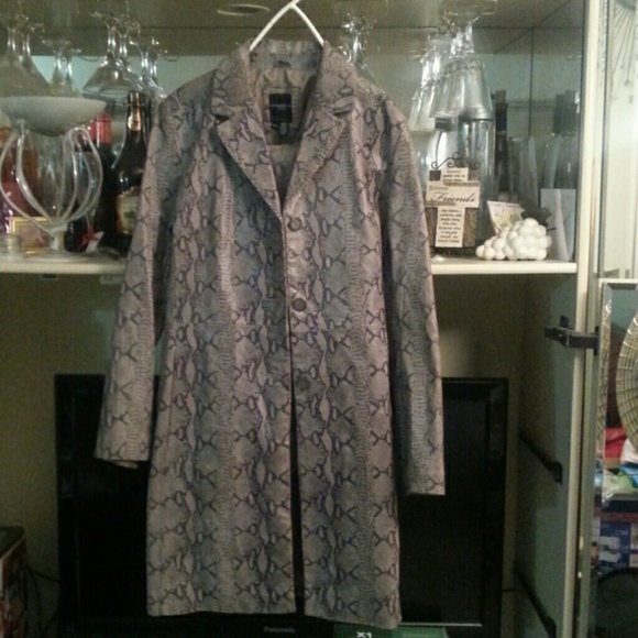 Real leather Gray snake suit - Picture 2 of 2