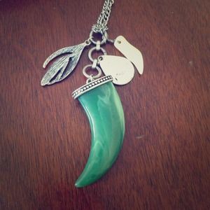 Shark Tooth Necklace