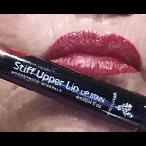 Younique's Stiff Upper Lip in Berry. $10