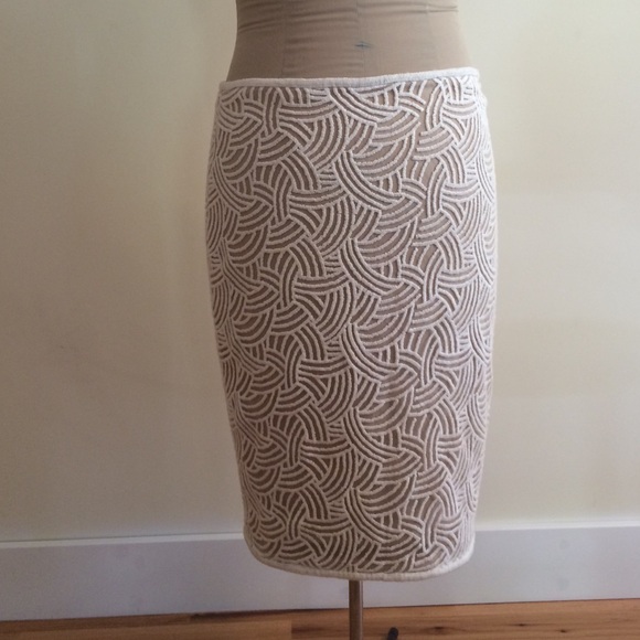 Tadashi Shoji Dresses & Skirts - LAST CHANCE Tadashi Shoji beautiful skirt