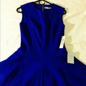 Eliza J Petite Cobalt Mini Dress