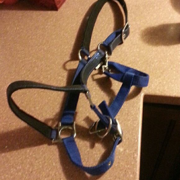 Halter