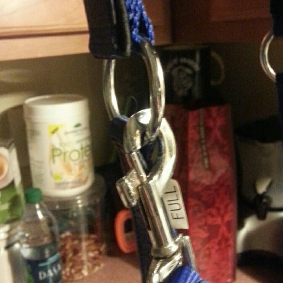 Halter - Picture 3 of 3