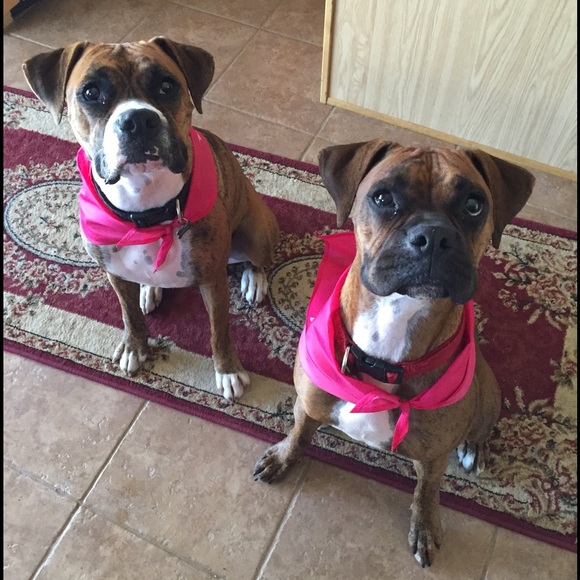 New items posted! Discounts on bundles!!! - Picture 3 of 4