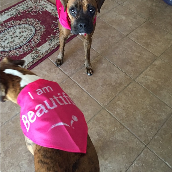 New items posted! Discounts on bundles!!! - Picture 4 of 4