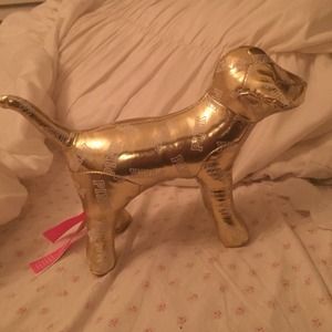 Victoria secret dog