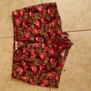Super Cute Flamingo Shorts !