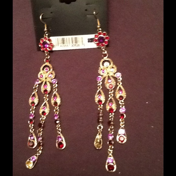 Multi Colored Earrings
