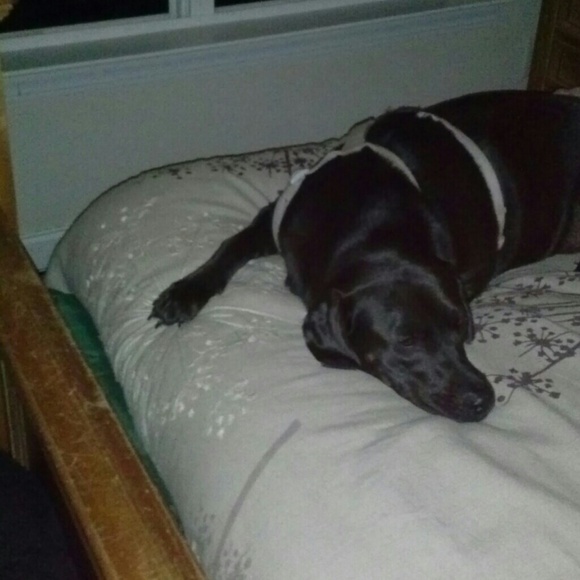 Nothing yet - Picture 2 of 2