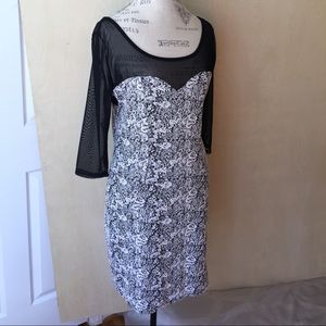 Sheer neckline/sleeves with curvy bodice dress