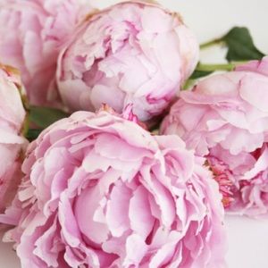 Bundle for @slblommer