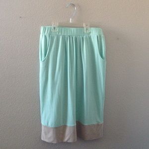 Color Block Skirt with Pockets