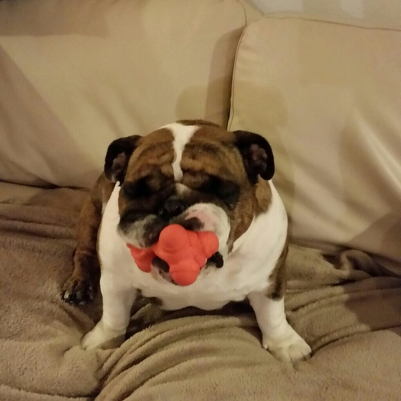 Meet my baby Rosie. - Picture 2 of 3