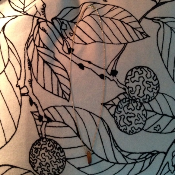 Thin brown jewel necklace