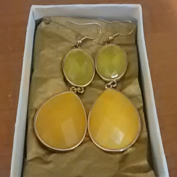 Arden b Earrings