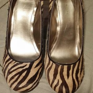 BCBG Zebra Print Wedges