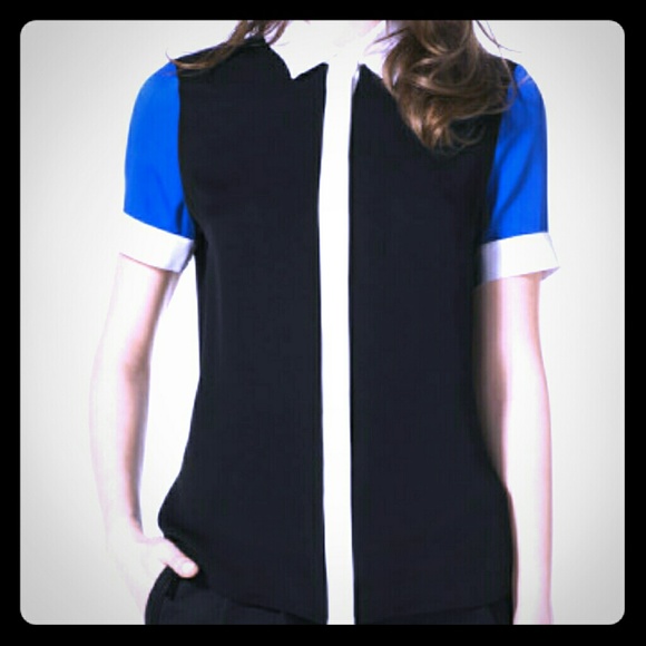 FINAL PRICE Michael Kors Colorblock Blouse