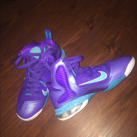Lebron lake summit! Size: 9
